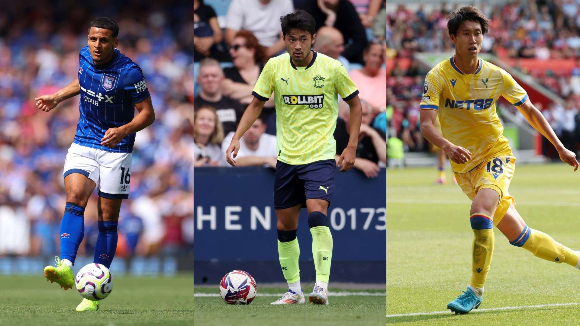 吸引更多的 吸引更多的